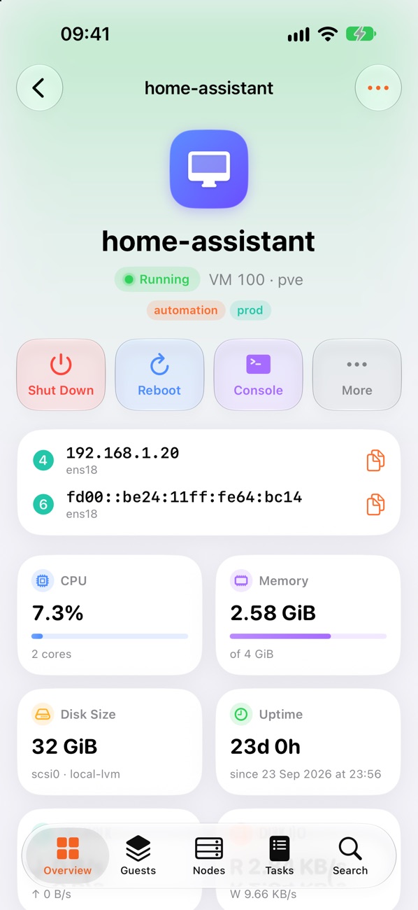 Guest detail screen for a Home Assistant VM